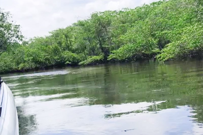 Expedição dos Sonhos